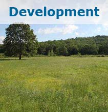 Development